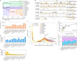 the prevalence evolution and chromatin signatures of plant