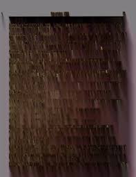 Image result for Ophrestia radicosa