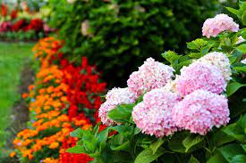Check spelling or type a new query. Tips For Beautiful Florida Annual Flowers Roedell S Landscaping