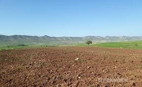 Haftasonları kaçacak ve hem ahşap bir evde haftasonunu geçirip hem de ufak da olsa kendine ait bahçesinde toprak ve tarım ile zaman geçirecek hobi bahçelerine bakıyorum ama aklımın bir yerinde de hobi bahçelerinin yasaklanması konusu var. Hobi Bahceleri Yikilacak Mi Hobi Bahcelerinin Yasal Durumu Nedir