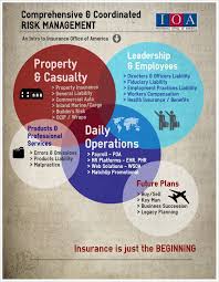 Pin By Bettie De Bruyn On Risk Management Infographics Risk Management Business Leadership Business Continuity