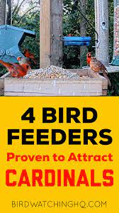 The 5 Best Bird Feeders For Cardinals That Work In 2021 Video Video Best Bird Feeders Bird Feeders Bird Feeding Station