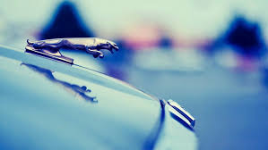 Jaguar f type 4k ultra hd wallpaper background image 3840x2560. Jaguar Logo 1080p 2k 4k 5k Hd Wallpapers Free Download Wallpaper Flare