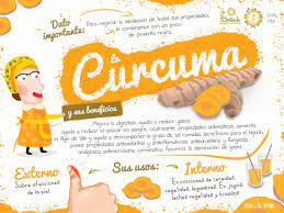 Curcuma Info Nutricional Brotando Luz 2015 Turmeric Nutritional Info Curcuma Propiedades Ingredientes