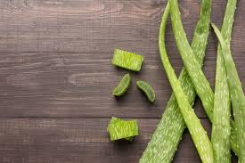 Jul 21, 2017 · longevity while no hard and fast rule applies, you can usually keep aloe vera juice stored for a time in the refrigerator. How To Store Aloe Vera To Keep It At Its Freshest Spiceography