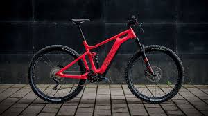 Bmc Speedfox Amp Two Im Test 29 Und 130 Mm Federweg Was Kann Die Trailfrase Von Bmc Emtb News De Fahrrad Rad Fahren