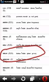 Beberapa nama cina juga memiliki pinyin di sebelahnya (contoh bagaimana caranya anda mengeja nama). Elin On Twitter Arti Nama Ane Dalam Bahasa Cina Padahal Gak Ad Darah Cinanya Sama Sekali Nias Minang Asli Http T Co Cxhmbt3l3f