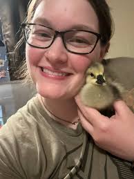 Mistaking a wild animal for a chicken in a humorous hunting context