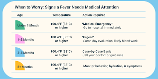 Image result for Fever Without Focus Red Flags