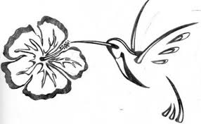 Fleur D Hibiscus Colibri Tatouage Hibiscus Tatouage Colibri Idees De Tatouages