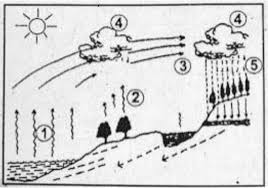 Pengukuran langsung evaporasi ataupun evapotrasnpirasi dari air ataupun permkaan lahan yang besar adalah tidak mungkin pada saat ini (wartena, 1974). Perhatikan Gambar Berikut Peristiwa Evaporasi Dan Transpirasi Pada Gambar Ditunjukkan Dengan Brainly Co Id