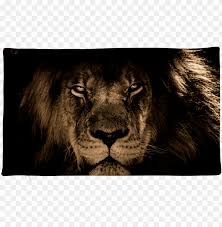 Download lion face 4k hd wallpapers for free to personalize your iphone or android phone. Lion Face Pillow Case Iphone Wallpaper Lion Hd Png Image With Transparent Background Toppng