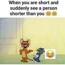 Https Www Bestmemescompilation Tk 2019 01 Meme Compilation 500 Html Memescompilation Compilation Bestmem Animal Memes Clean Funny Memes Short People Memes