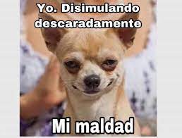 Pin En Anibal Libros Para Todos