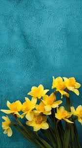 These 215 spring iphone wallpapers are free to download for your iphone. Spring Flower Wallpaper Iphone Hd
