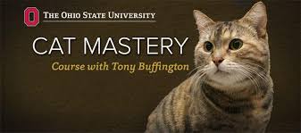 Cats can be highly territorial toward other cats, especially if they have not been socialized to other cats during their socialization period, which remember: Home Indoor Pet Initiative