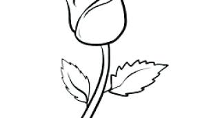 See more ideas about traditional rose tattoos, tattoo outline, traditional roses. 69 Basic Rose Tattoo Design In 2020