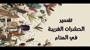 ما تفسير رؤية حلم الحشرات الغريبة في المنام Youtube