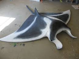 Desiree My Dear Dead Manta Ray Manta Ray Angler Fish Costume Little Mermaid Costumes