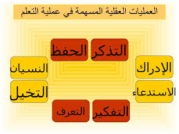 تطبيق مهارات التفكير في الرياضيات