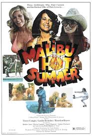 Malibu Hot Summer (1981) - IMDb