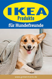 10 Gunstige Ikea Produkte Fur Den Hund Zweckentfremdet Hunde Hunde Organisation Hundeprodukte