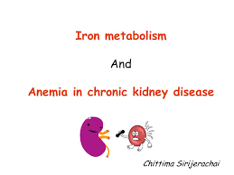 Anemia In Chronic Kidney Disease Ppt Video Online Download