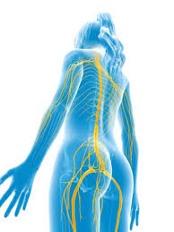 Image result for Sciatica