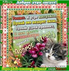 We did not find results for: Utro Avgusta Prishlo S Dobrym Avgustovskim Utrom Kartinki I Foto Prikoly Razvlekatelnyj Portal Yumor 72 Tv