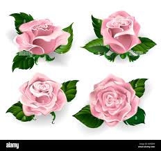 Painted roses immagini e fotografie stock ad alta risoluzione