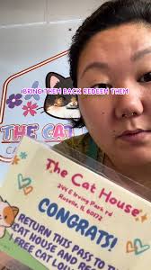 I saw that some other cat cafés were doing this, and we wanted to join in 