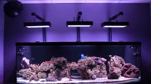 Man Cave Reef Led Evergrow Aquarium Light Diy Mounting Kit Youtube