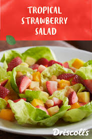 Tropical Fruit Salad With Strawberries And Coconut Driscoll S Recipe Strawberry Salad Easy Salad Recipes Tropical Fruit Salad
