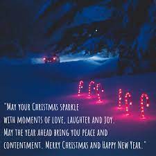 Feature the search for your christmas tree in your christmas cards. Short Christmas Quotes And Sayings For Holiday Cards Holidappy
