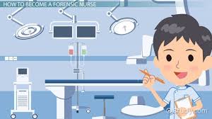 How To Become A Forensic Nurse Step By Step Career Guide