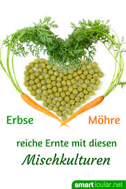 Gartnern Ohne Chemie Dank Mischkultur Mischkultur Garten Pflanzen Huhner Im Garten