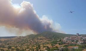 Η φωτιά καίει αγροτική έκταση. Fwtia Twra Myrizei Kameno Se Olh Thn A8hna Deite Ti Exei Symbei Newsbomb Eidhseis News