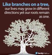 Family quotes digital quotes/word art/titles about families, describing families and celebrating families included in this listing: 8 Family Reunion Quotes Ideas Family Reunion Family Reunion Quotes Reunion Quotes