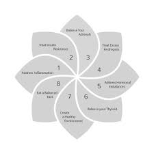 Check spelling or type a new query. 8 Steps Pcos Quiz Dr Fiona Mcculloch