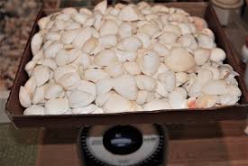 Otc brands inc omaha ne. Oriental Trading Company Reviews 79 Reviews Of Orientaltrading Com Sitejabber