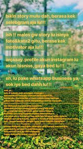 Mereka Banyak Bacot Kutipan Motivasi Kata Kata Mutiara Perasaan