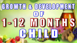 3 stages in 1 product: Growth Development Of 1 12 Months Child Ii 1 à¤¸ 12 à¤®à¤¹ à¤¨ à¤¤à¤• à¤• à¤¬à¤š à¤š à¤• à¤µ à¤¦ à¤§ à¤à¤µ à¤µ à¤• à¤¸ Ii Youtube
