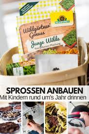 Indoor Sprossengarten Mit Kindern Oster Diy 1 Von 3 Plus Ei Ei Ei Rezepte In 2020 Kinder Genuss Muffins Kindergeburtstag