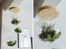 How air plants grow without soil | the new yorker. Diy Tutorial How To Make A Diy Hanging Airplant Terrarium Capitol Romance Practical Local Dc Area Weddings