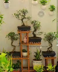 From herbs to veggies to succulent plants, you can. Chris Bottle Crafters Indoor Home Garden U Get All Indoor Garden Decoration Plants Pots Picture Of Chris Bottle Crafters Indoor Home Garden Muvattupuzha Tripadvisor