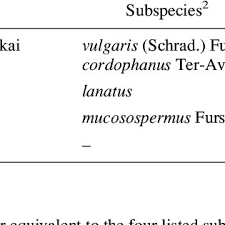 What's the english translation of awam? Pdf Origin And Emergence Of The Sweet Dessert Watermelon Citrullus Lanatus