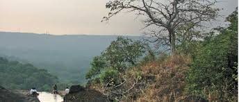 Sanjay Gandhi National Park - Outlook ...