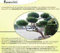 Garten Meteling Bocholt Planung Und Ausfuhrung