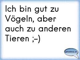 Ich Bin Gut Zu Vogeln Aber Auch Zu Anderen Tieren Osterreichische Spruche Und Zitate