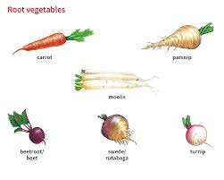Rutabaga Noun Definition Pictures Pronunciation And Usage Notes Oxford Advanced Learner S Dictionary At Oxfordlearnersdictionaries Com